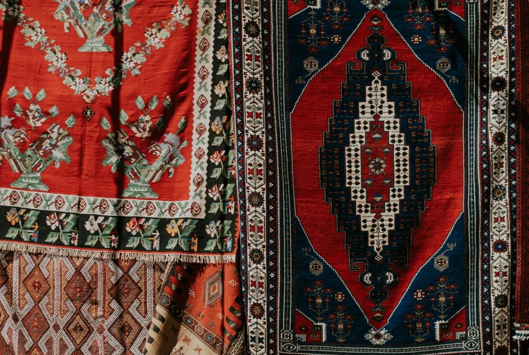 shaggy kuru temizleme